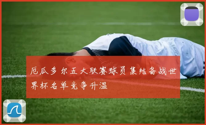 厄瓜多尔五大联赛球员集结备战世界杯名单竞争升温