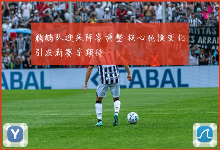 鹈鹕队迎来阵容调整 核心轮换变化引发新赛季期待