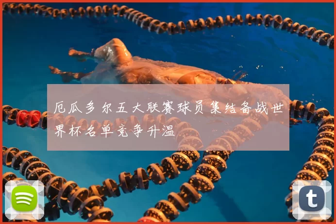 厄瓜多尔五大联赛球员集结备战世界杯名单竞争升温