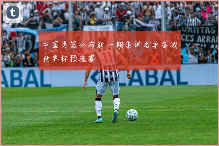 中国男篮公布新一期集训名单备战世界杯预选赛